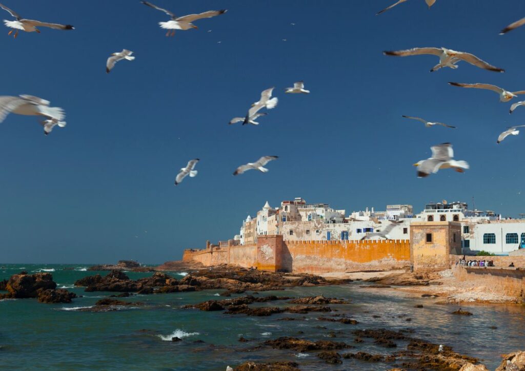 Ouarzazate to Marrakech Private Sahara Trip 7 Days
