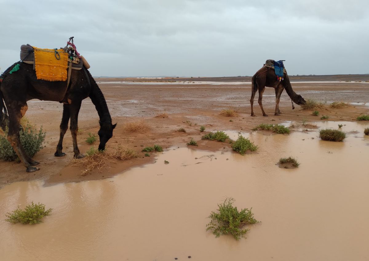 Morocco eco tours supporting Berber cooperatives conservation and responsible local tourism