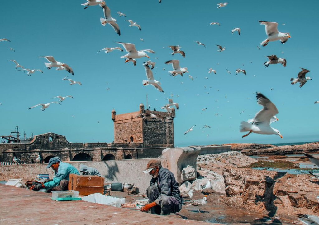 Essaouira Day Trip from Marrakech (Mogador)