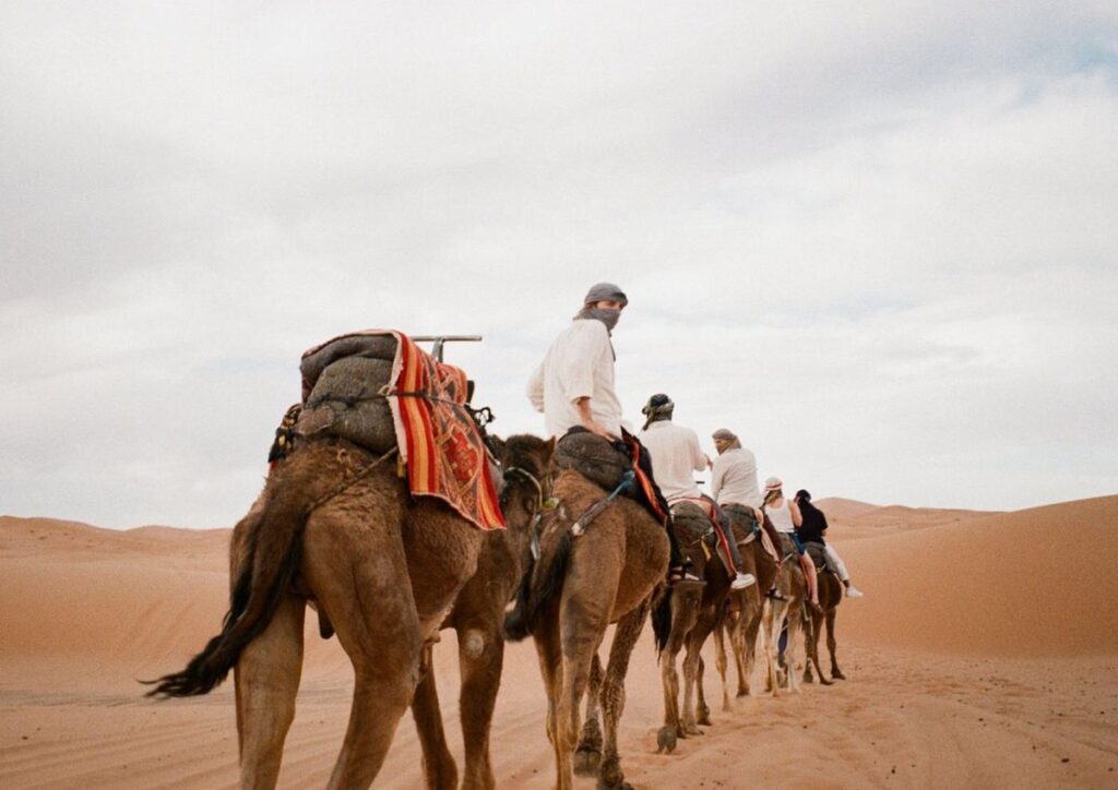 Morocco travel guide covering top destinations hidden gems transport and essential tips