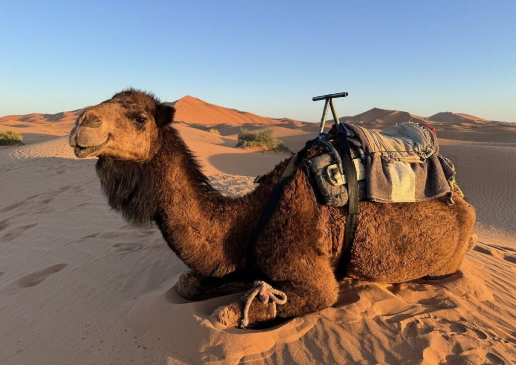 Marrakech Desert Tour 2 Days