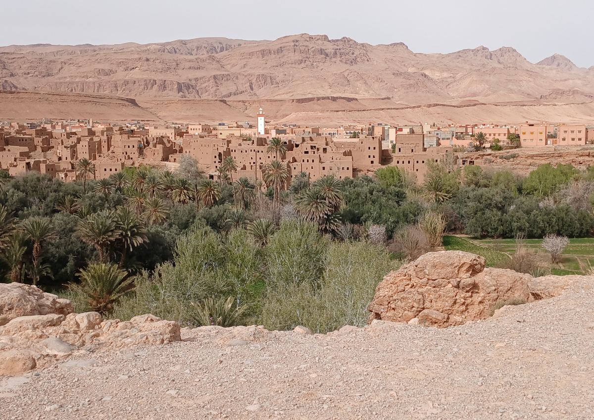 Tata desert province tour through the remote Anti-Atlas palmeraies and desert landscapes